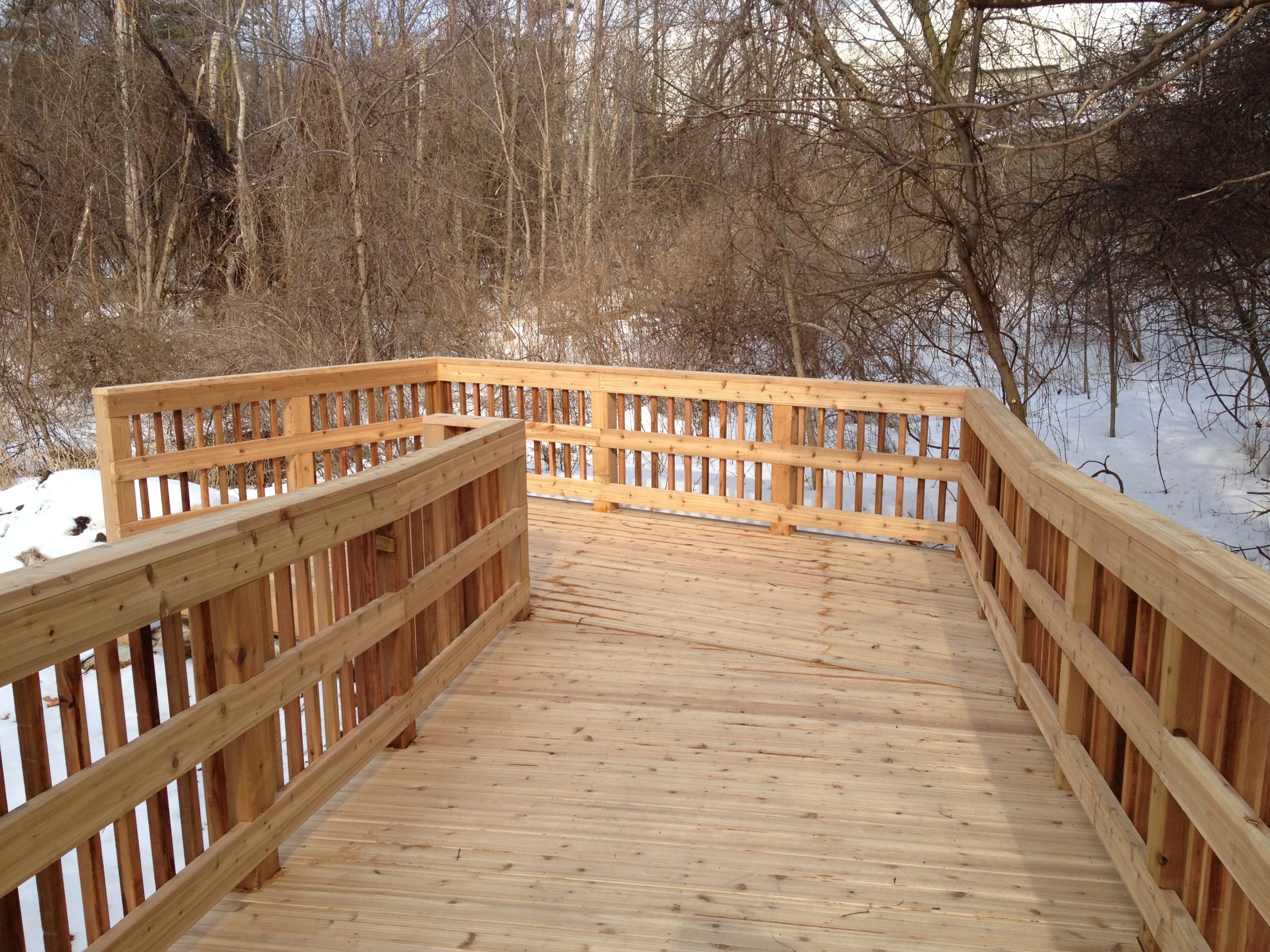 Wooden walkway surrounded by forest