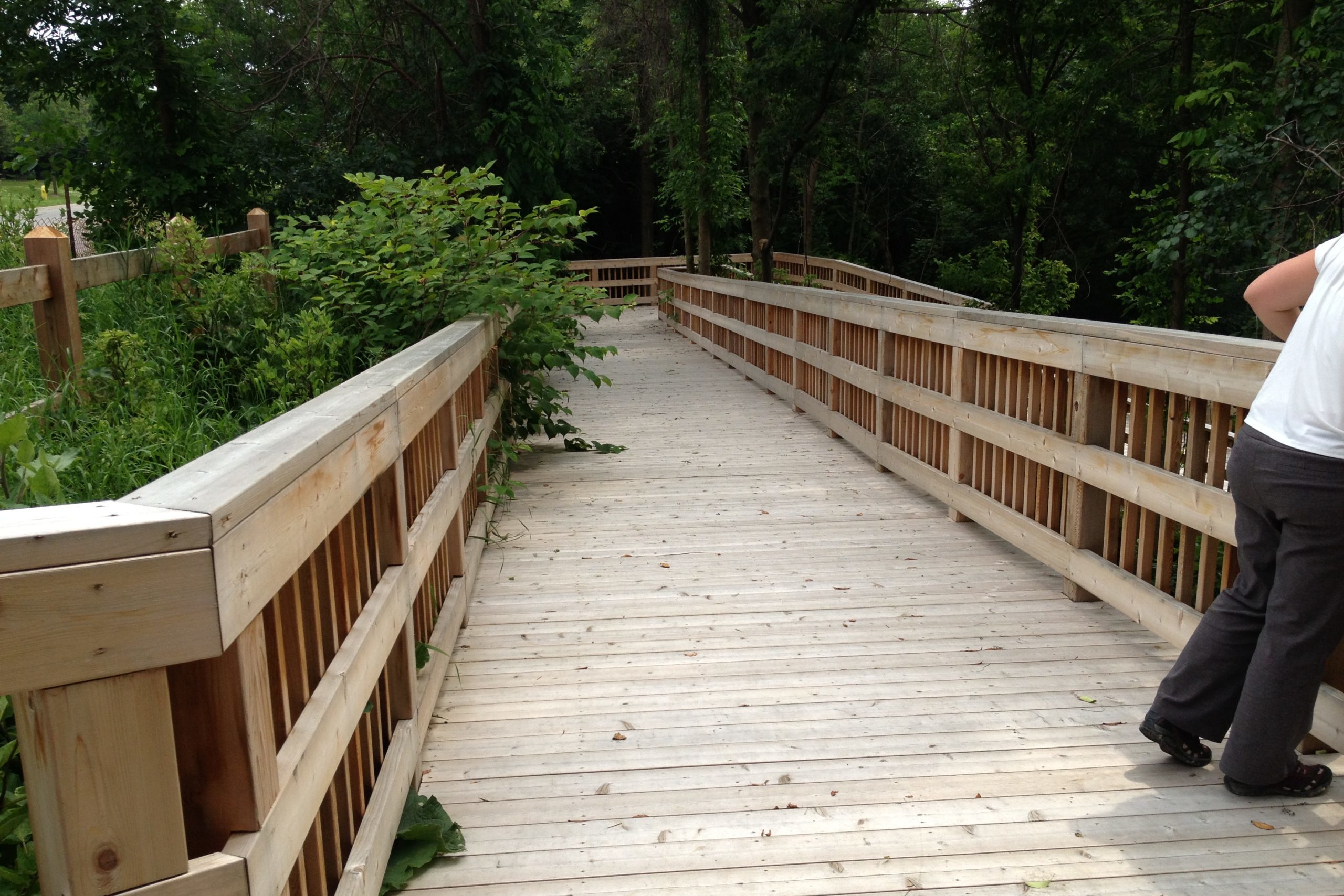 Wooden walkway