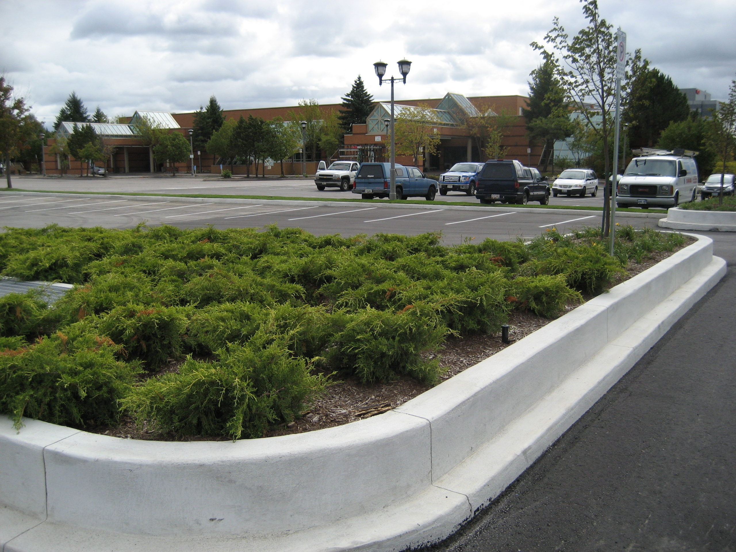 Various shrubs and plants