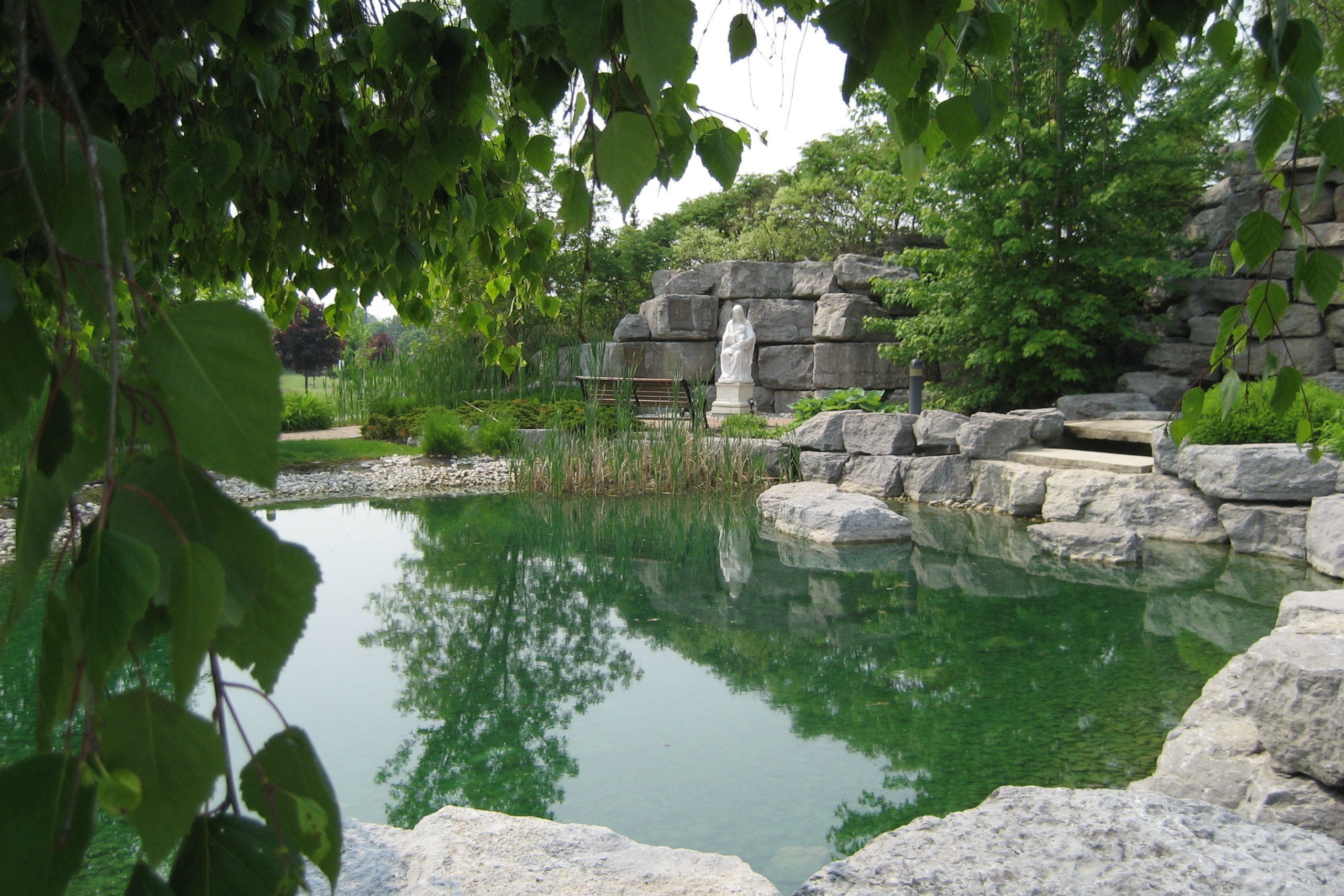 Beautiful pond surrounded by nature