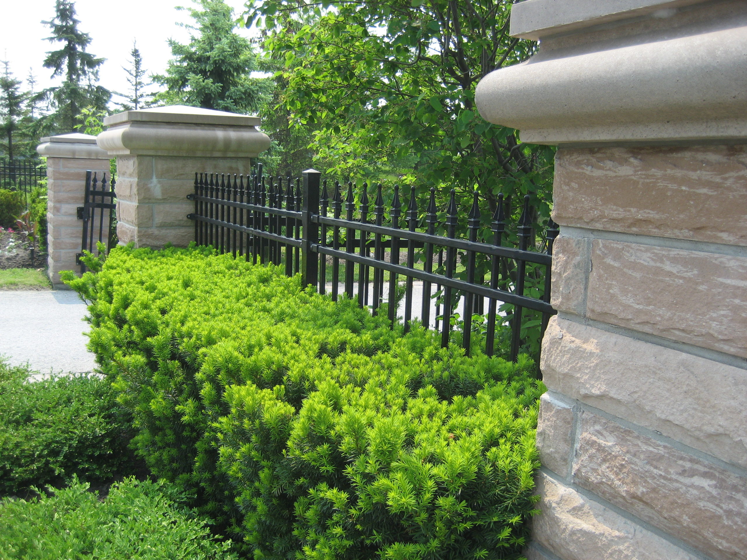 Iron fence with hedge