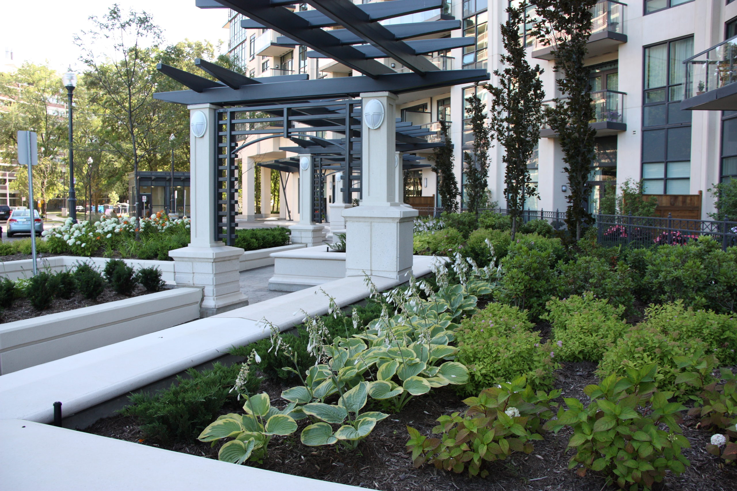 Monolithic, meandering garden trellis and seat walls defining the arrival plaza