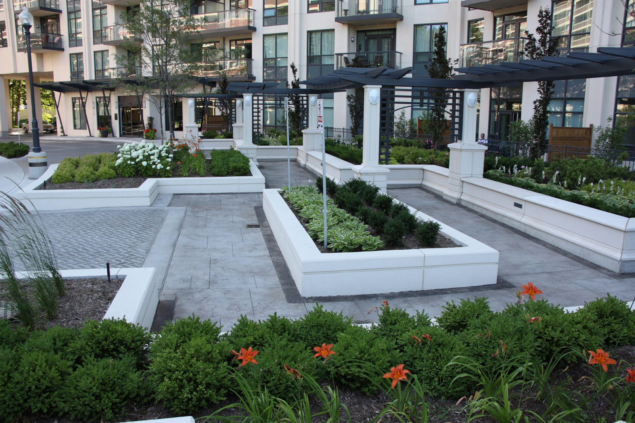 Monolithic, meandering garden trellis and seat walls defining the arrival plaza