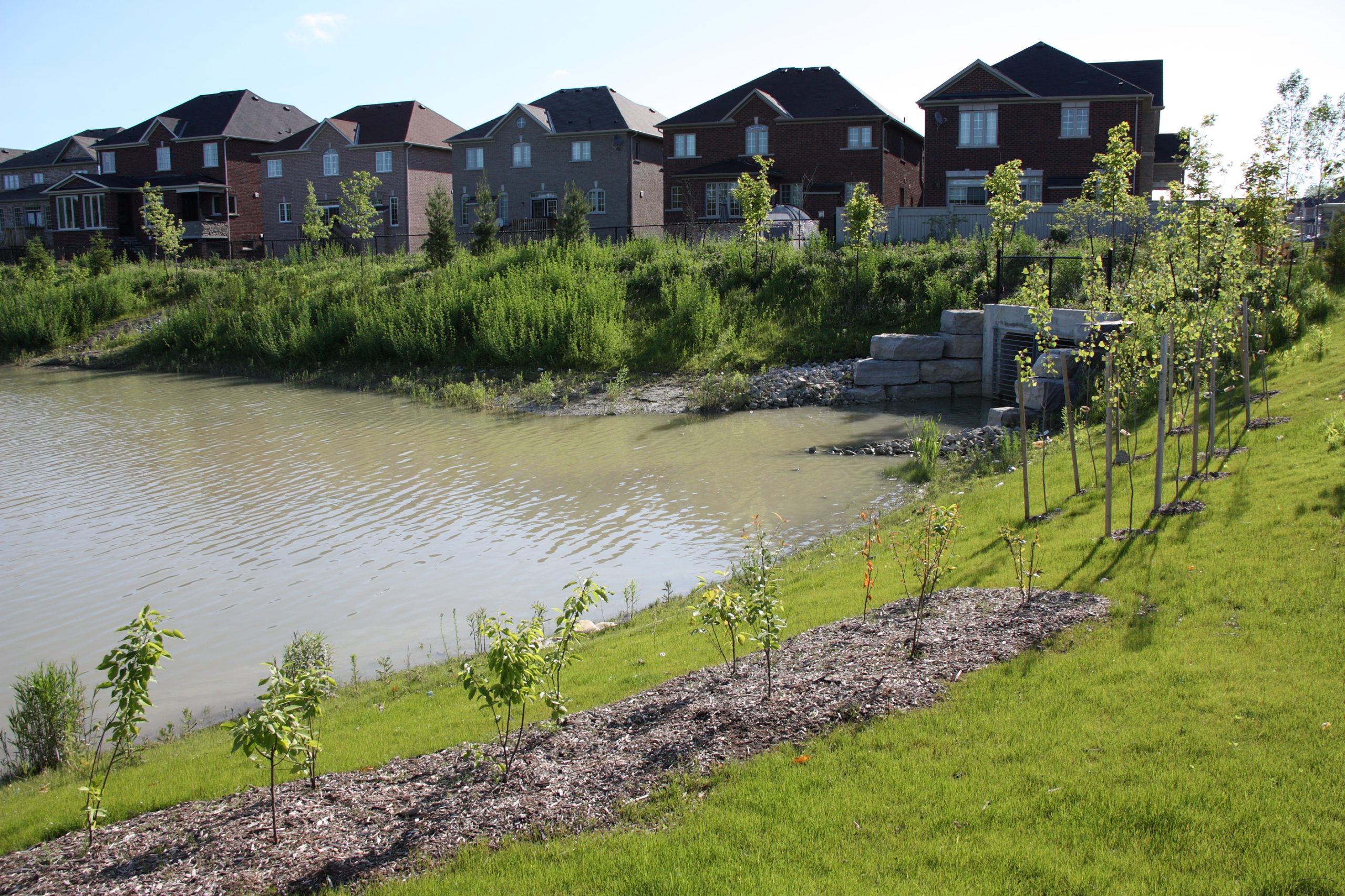 Pond with houses in the background