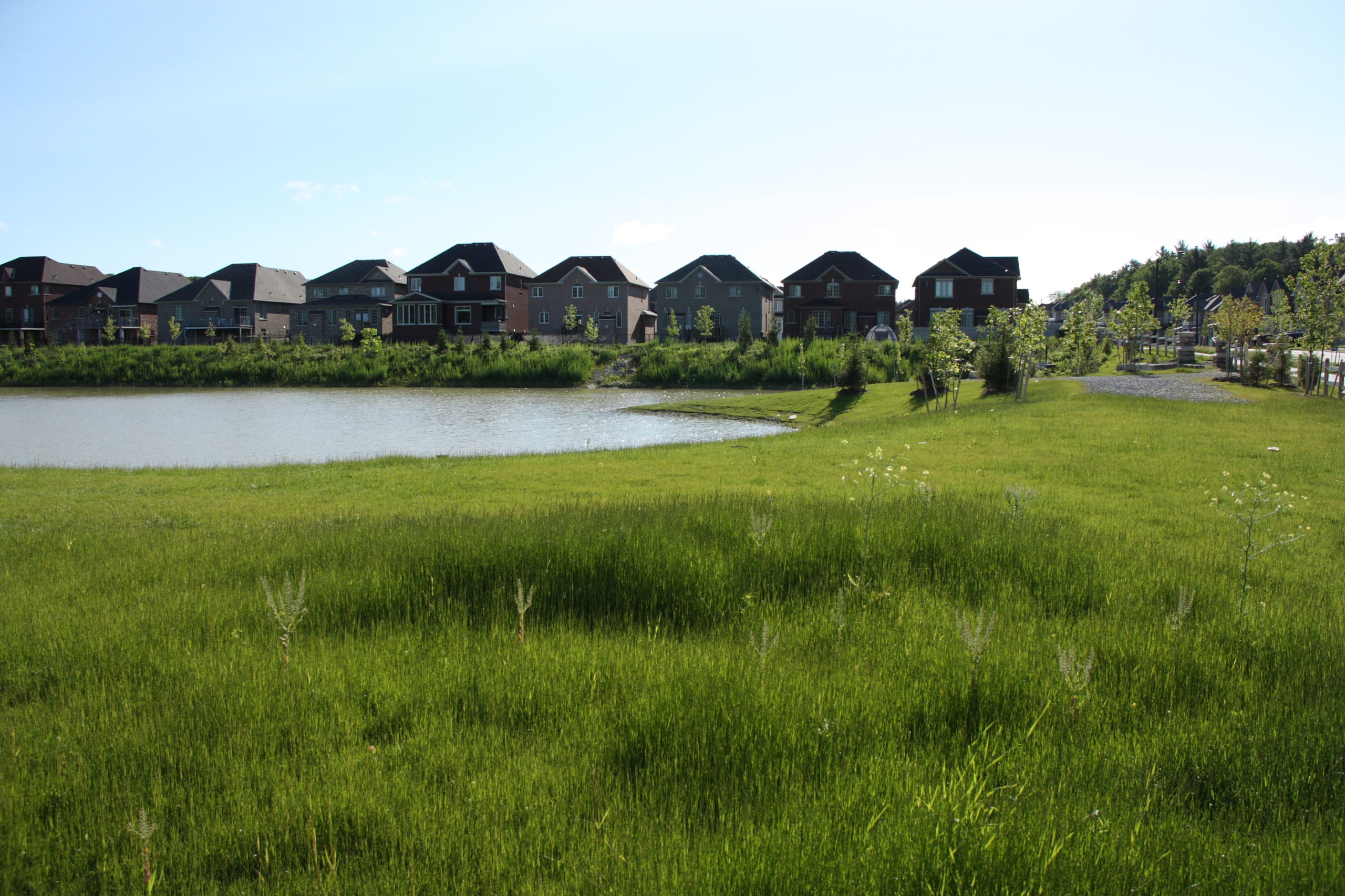 Pond with houses in the background