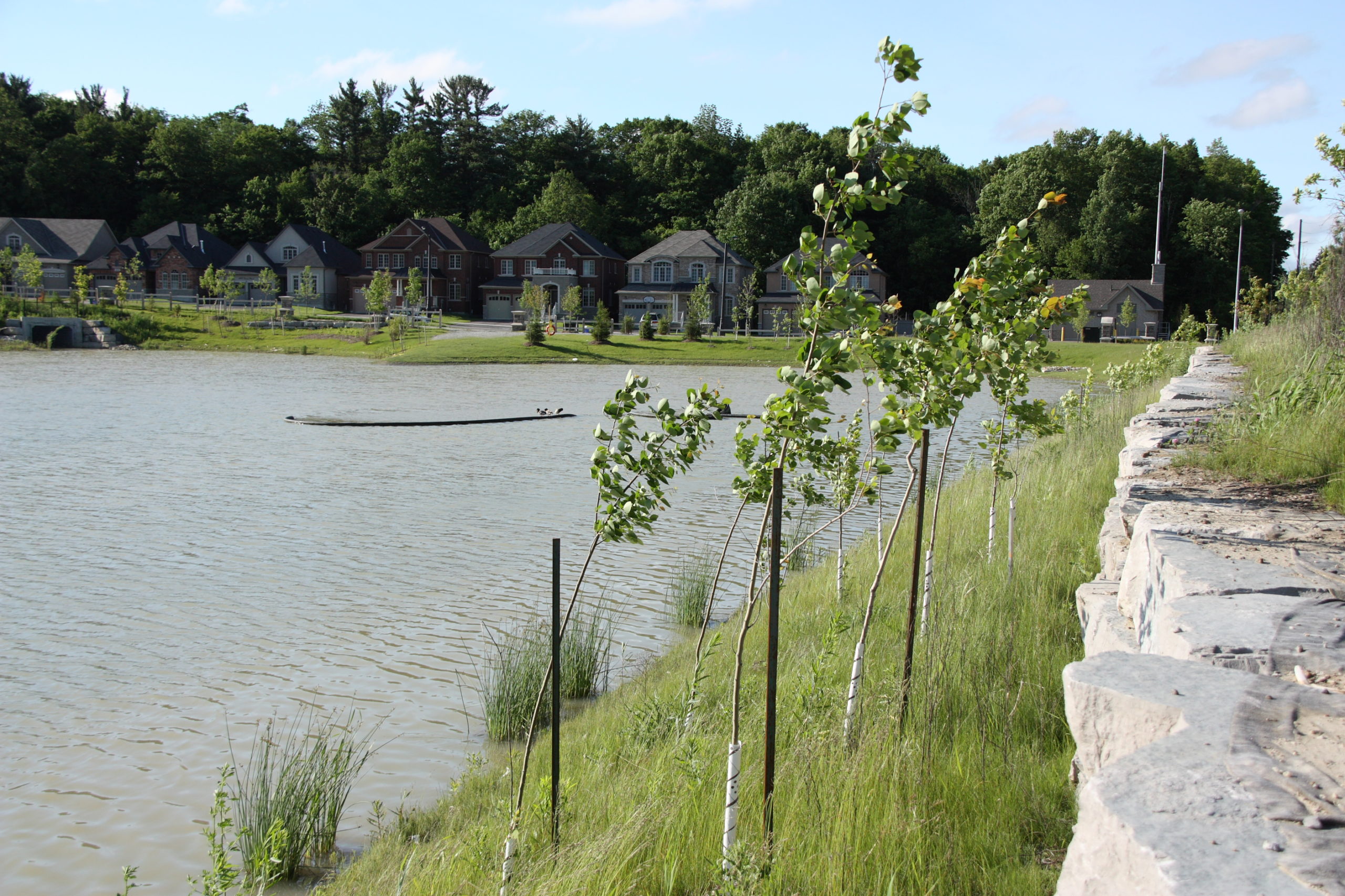 Stone retainer walls with trees and the pond in the background.