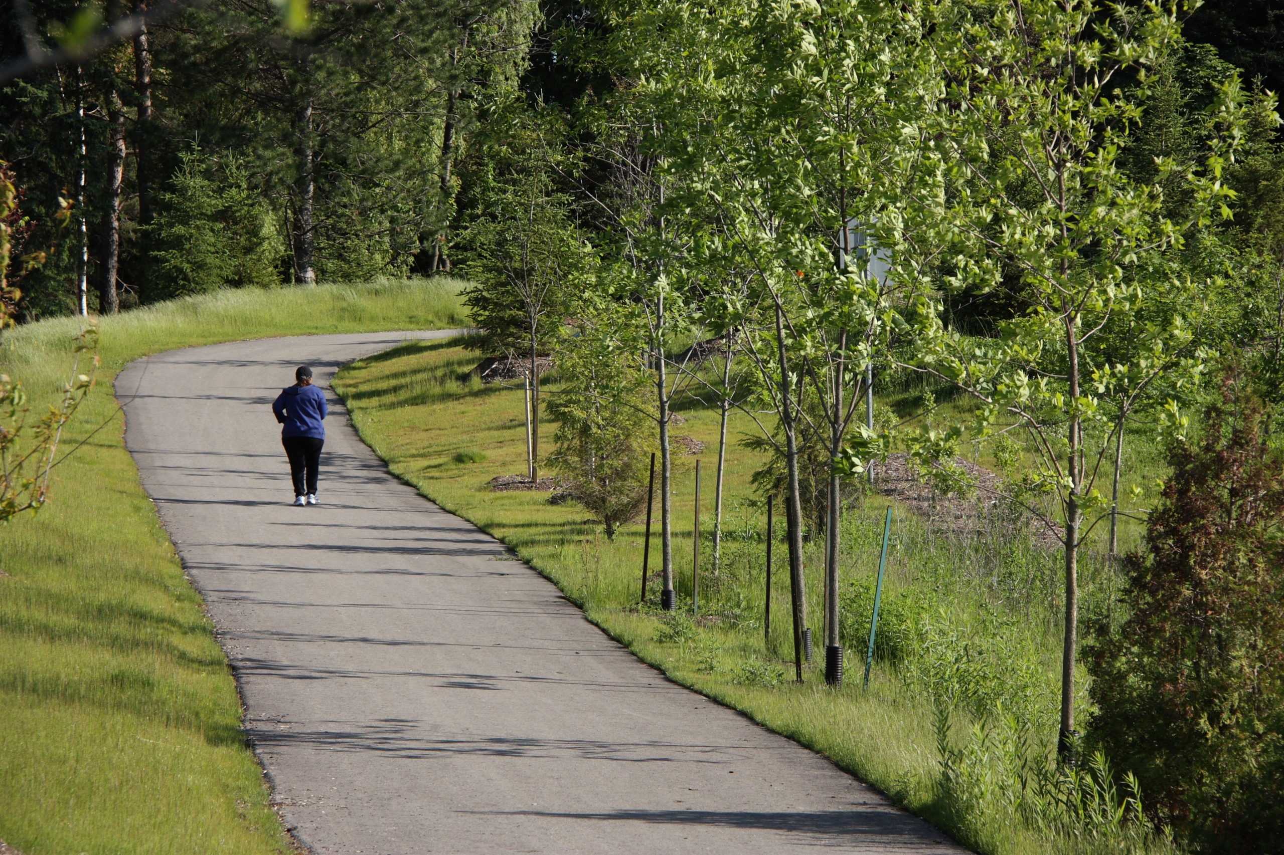 Woman walking down pathway through trees.