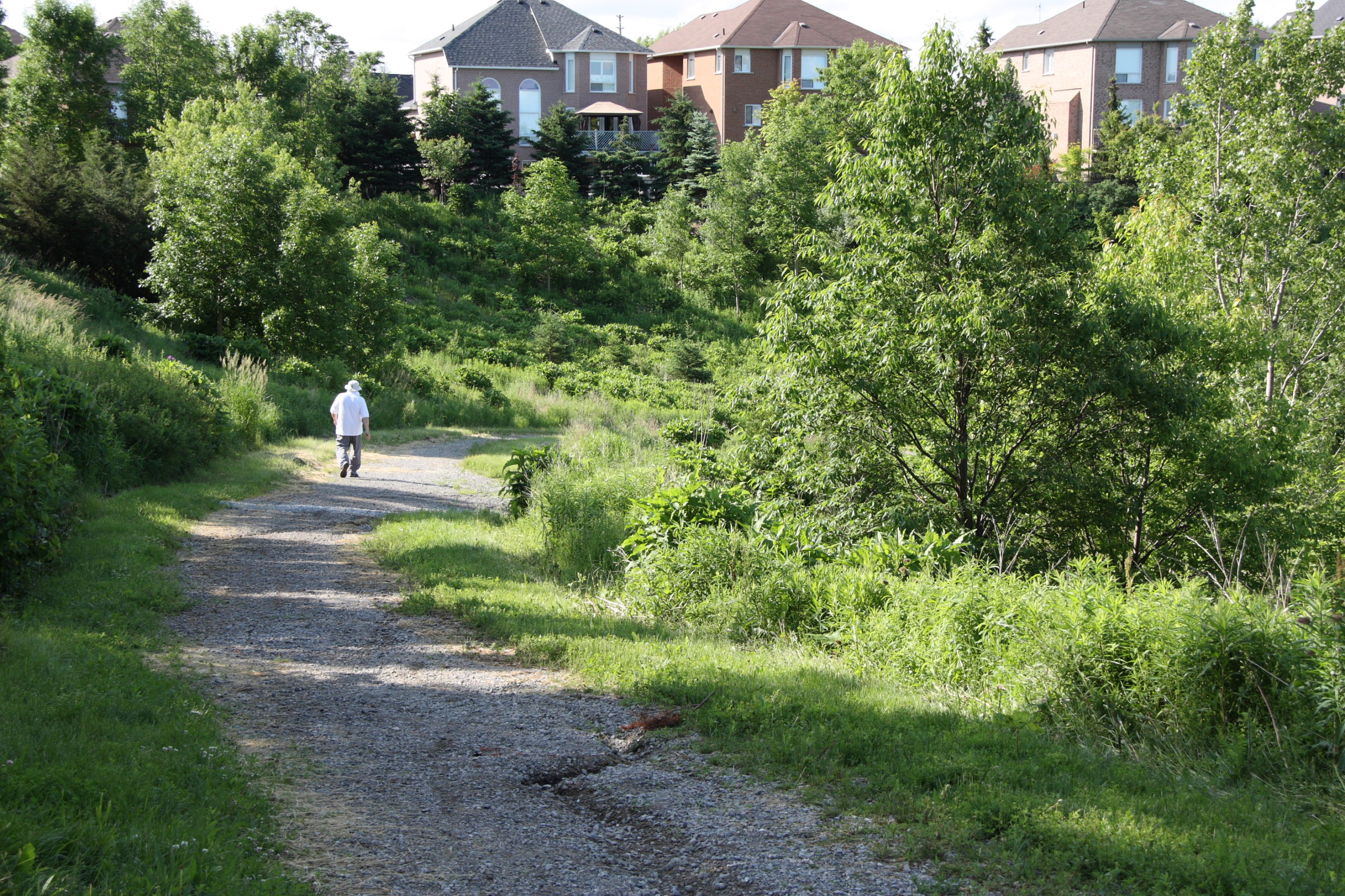 Pathway through ravine with houses in the background.