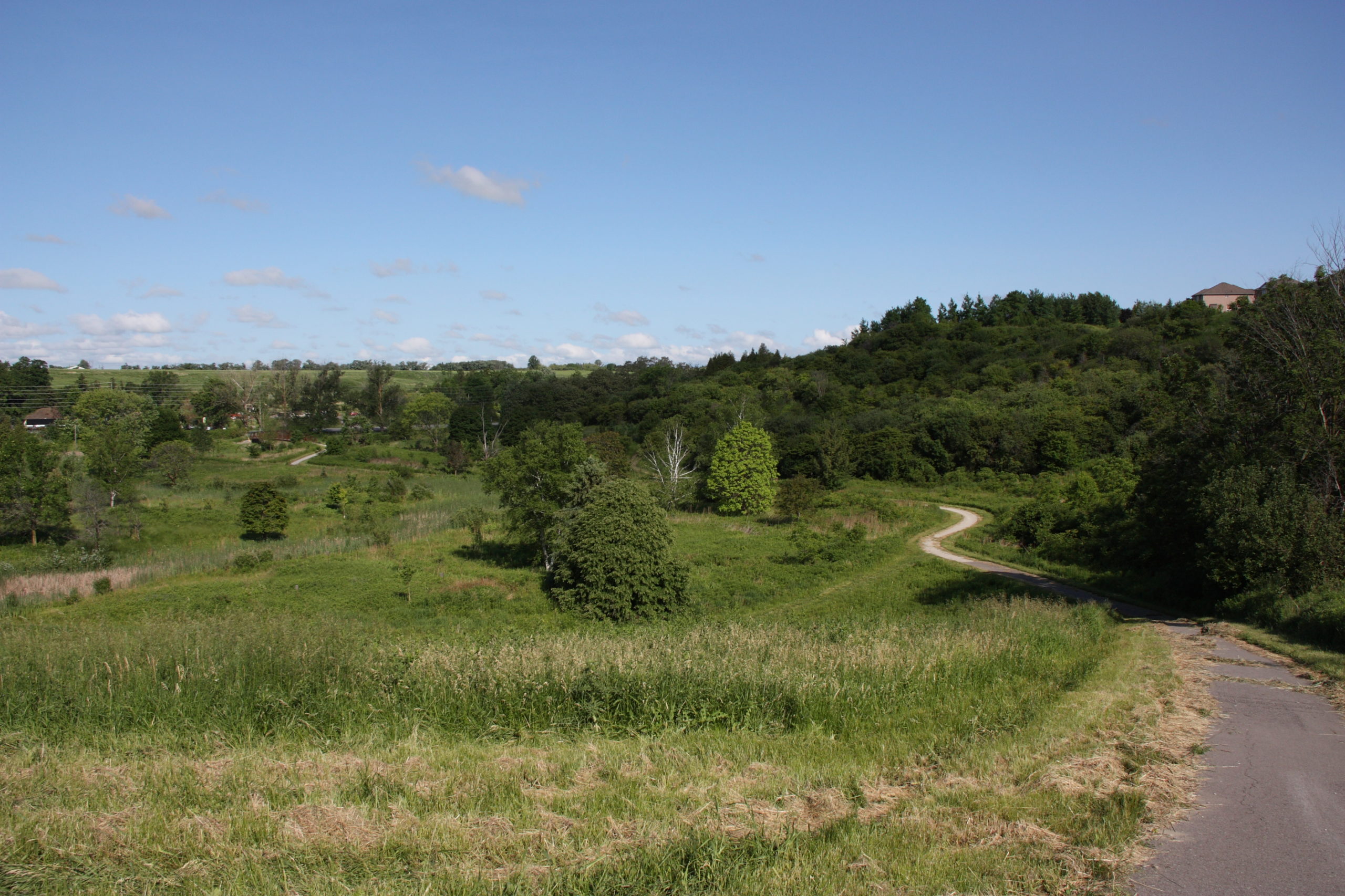 Large open space with bushes and trees and a path.