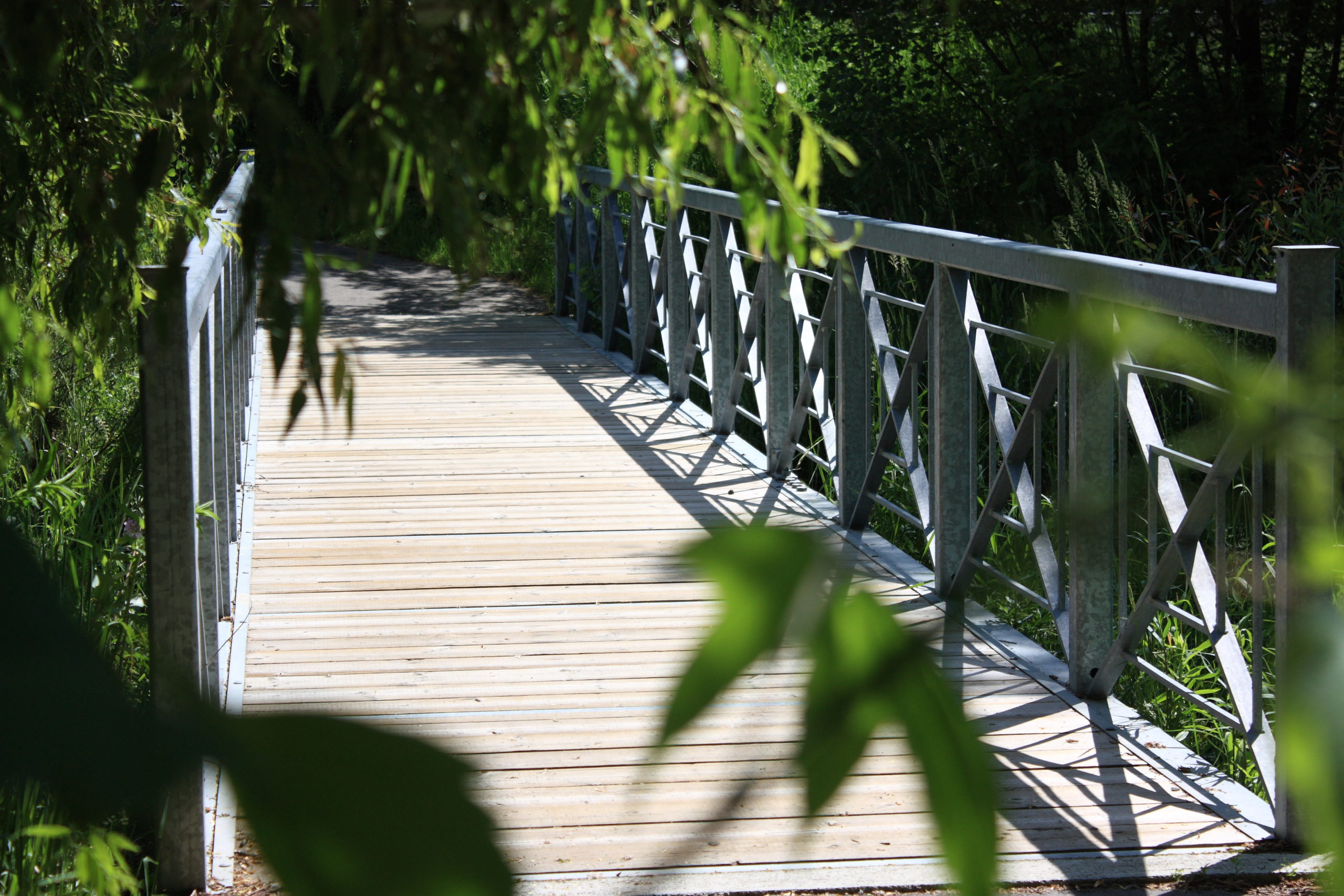 Wooden bridge with metal rails surrounded by nature.