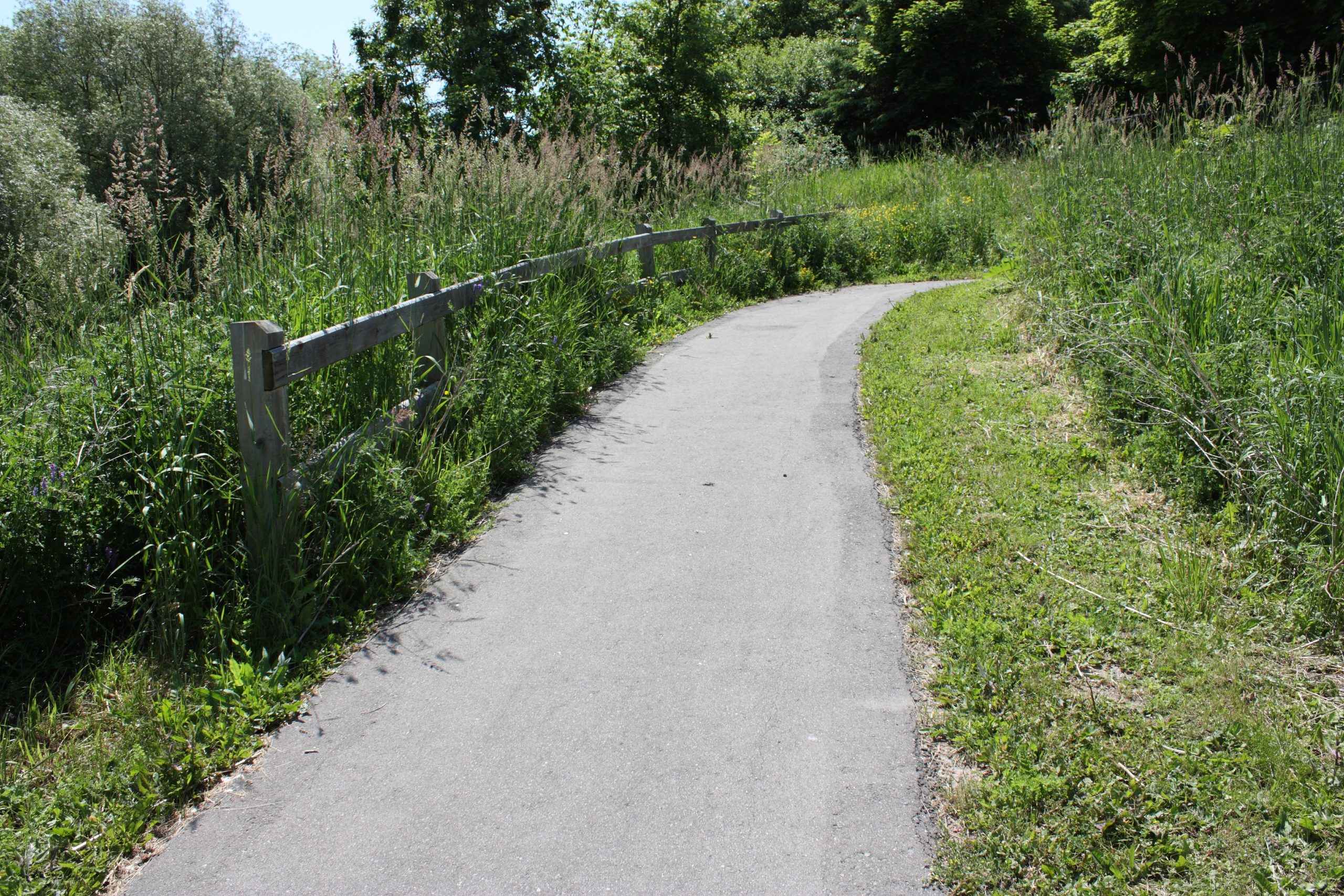 Pathway through ravine