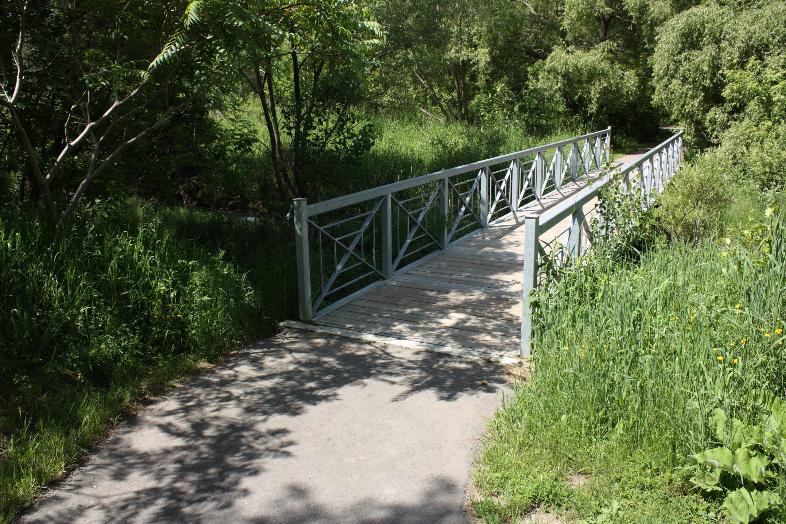 Wooden bridge with metal rails