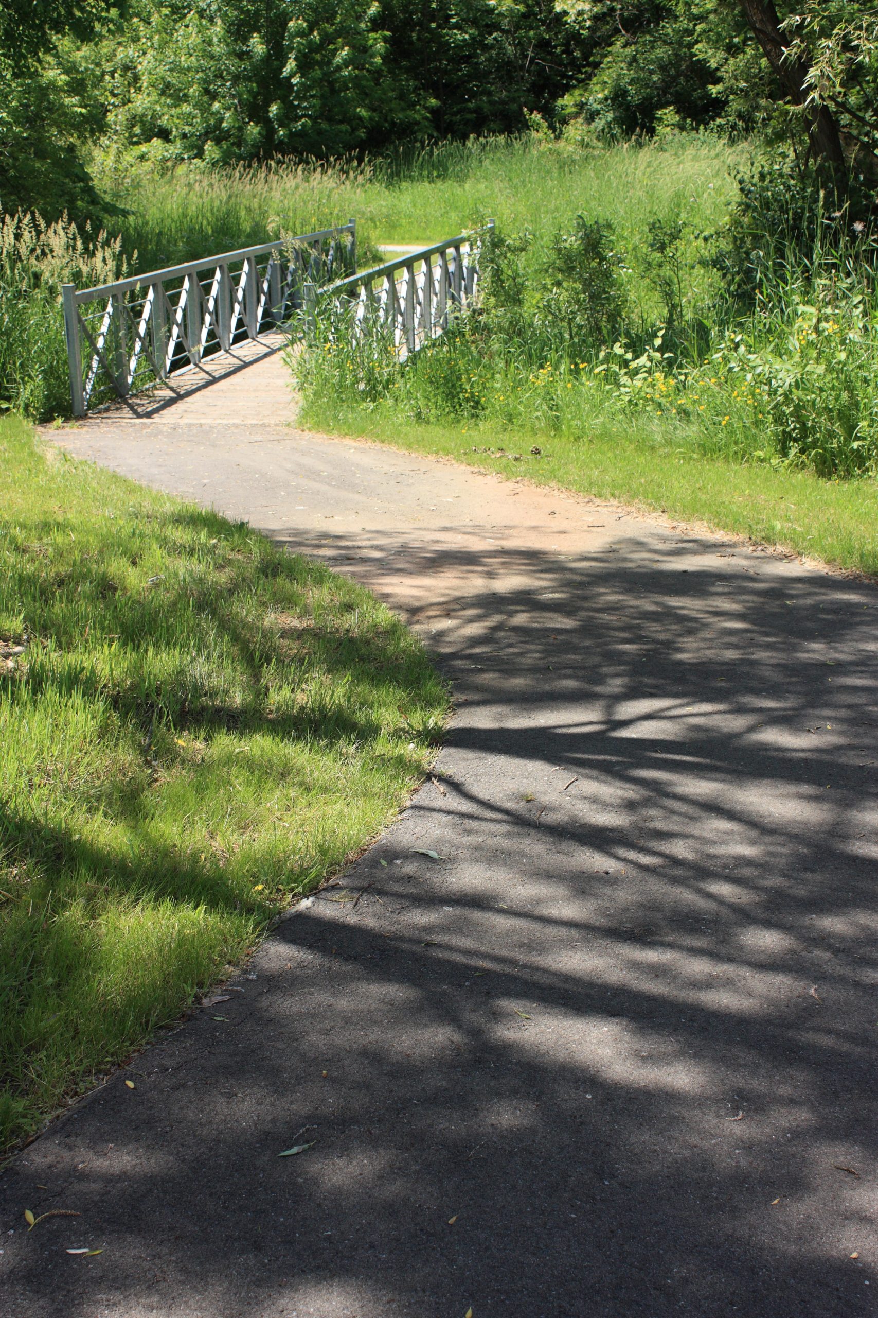 Pathway to bridge