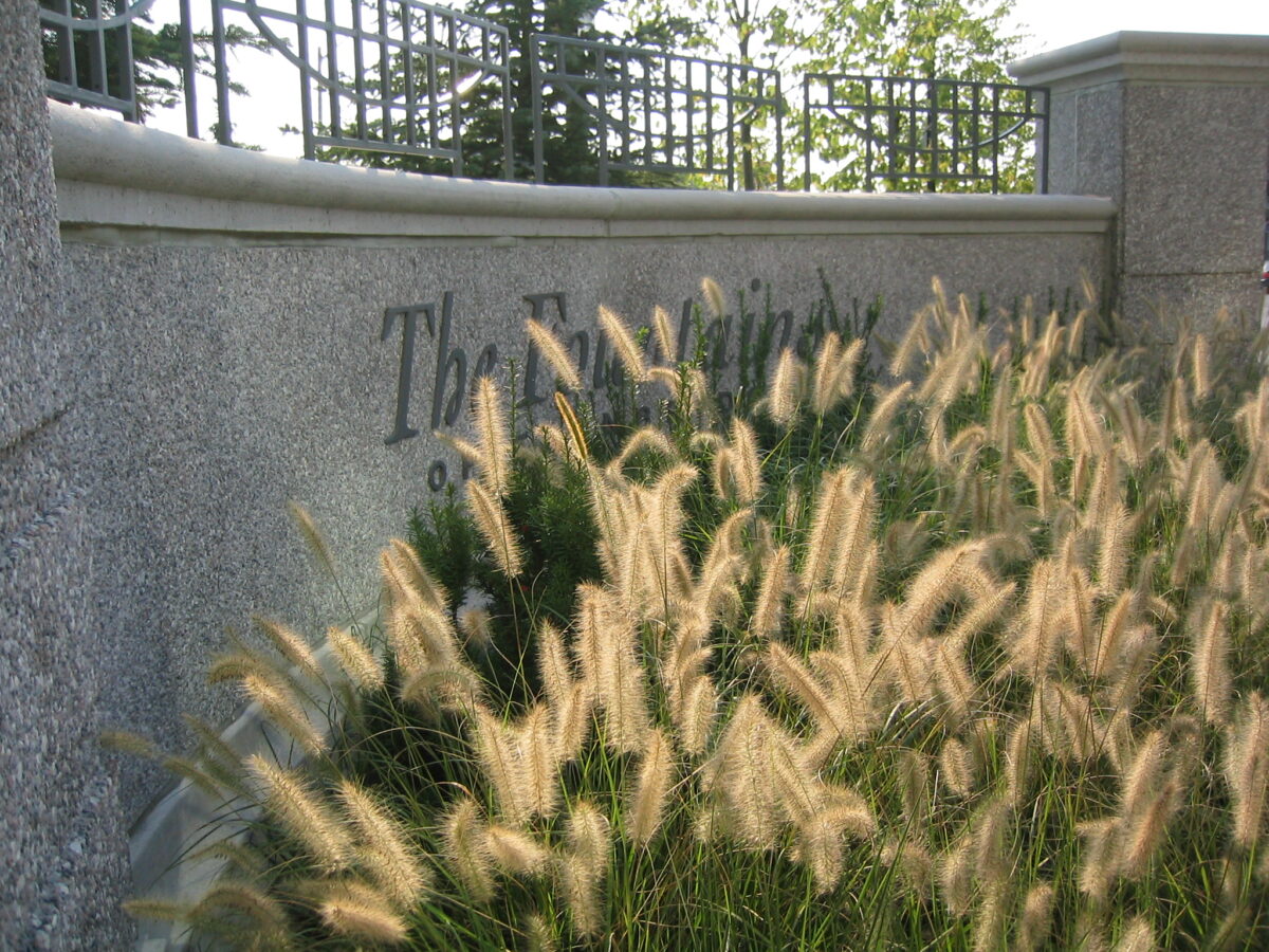 Decorative wall with plants.