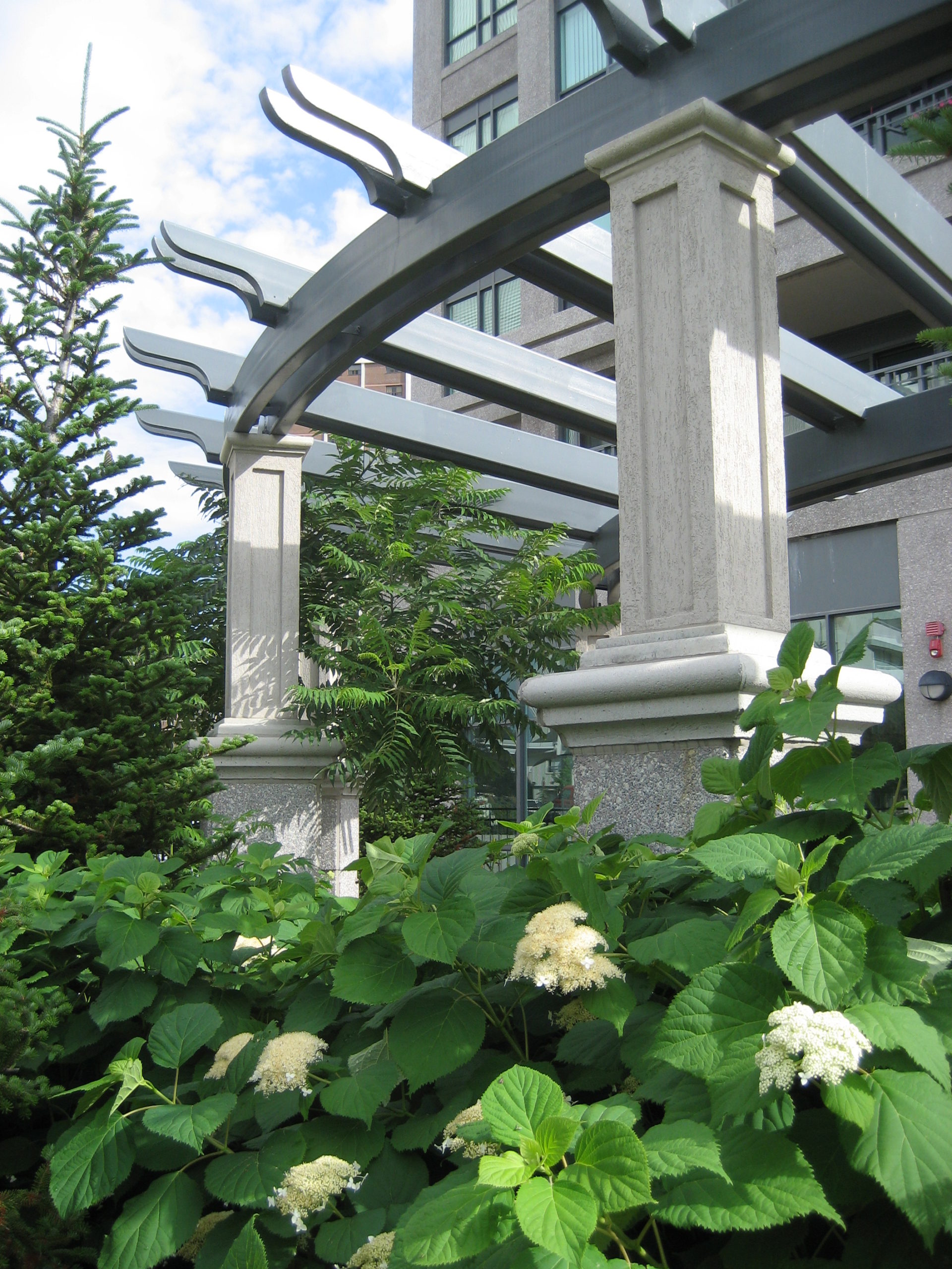 Shade structure with plants.