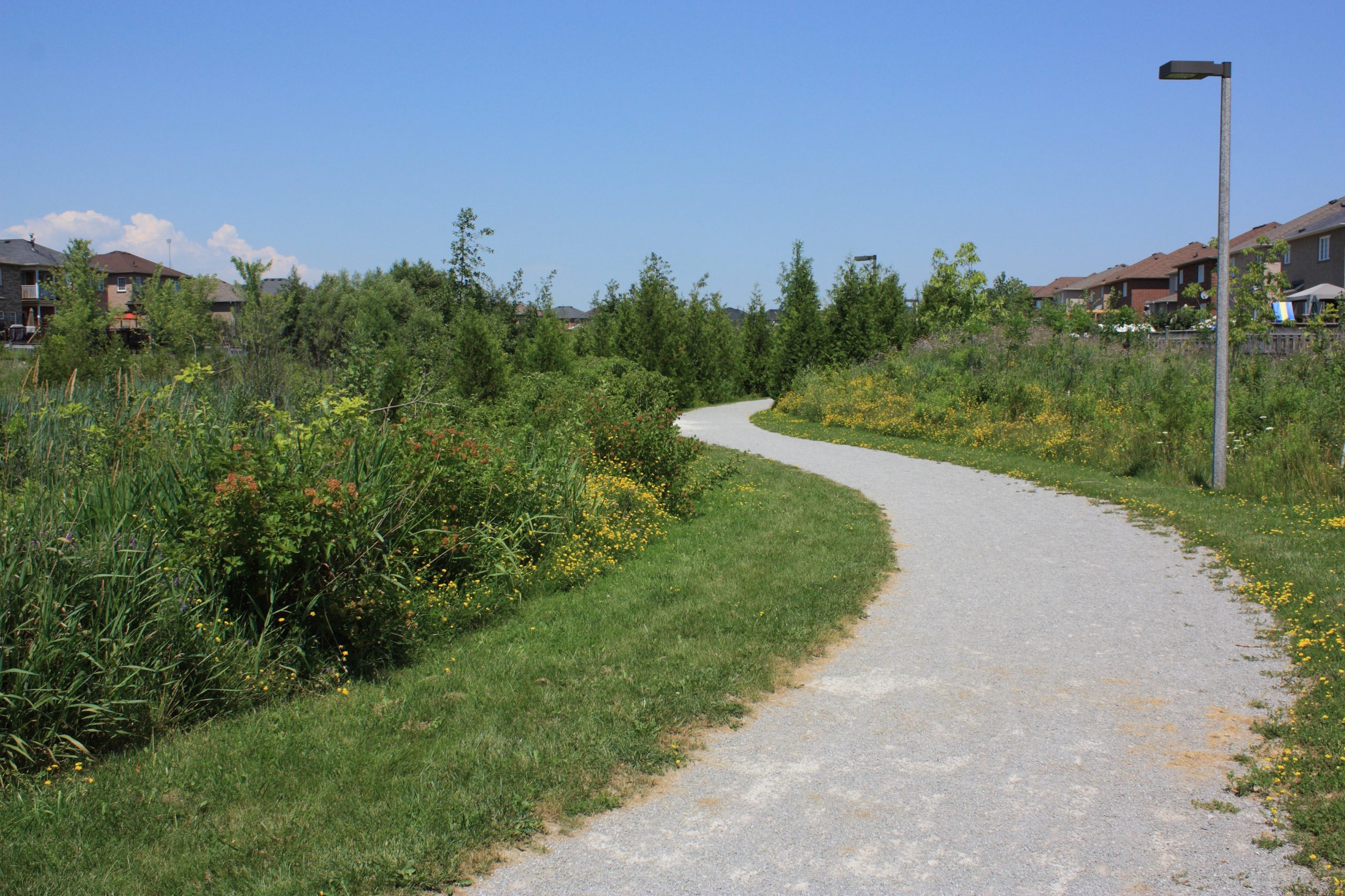 Pathway leading through ravine