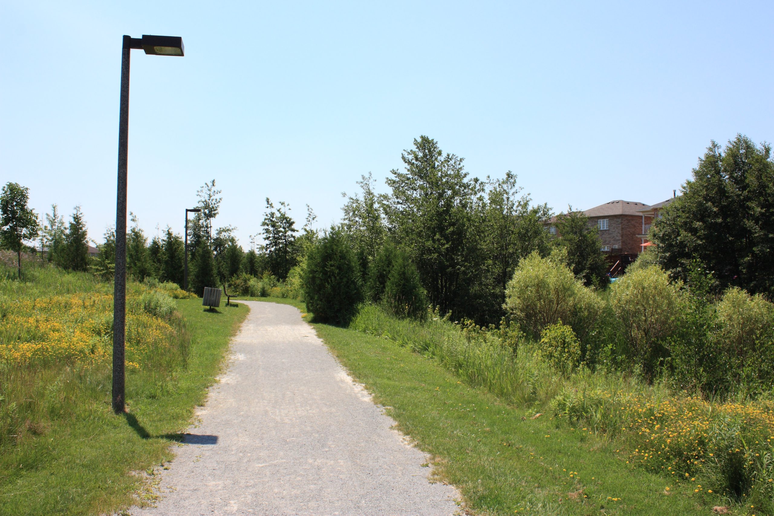 Pathway with light post