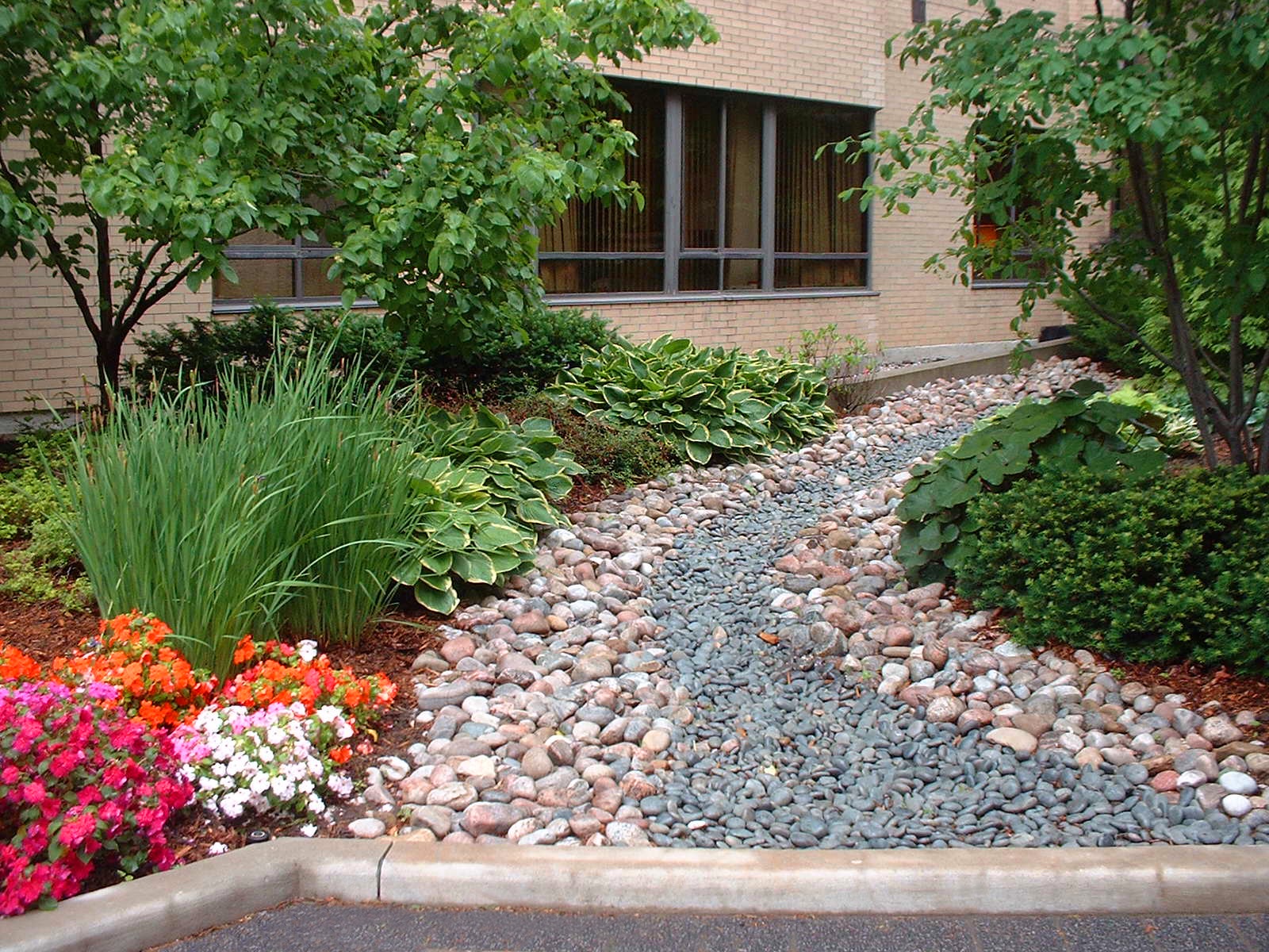 River rick pathway flanked by shrubs and trees.