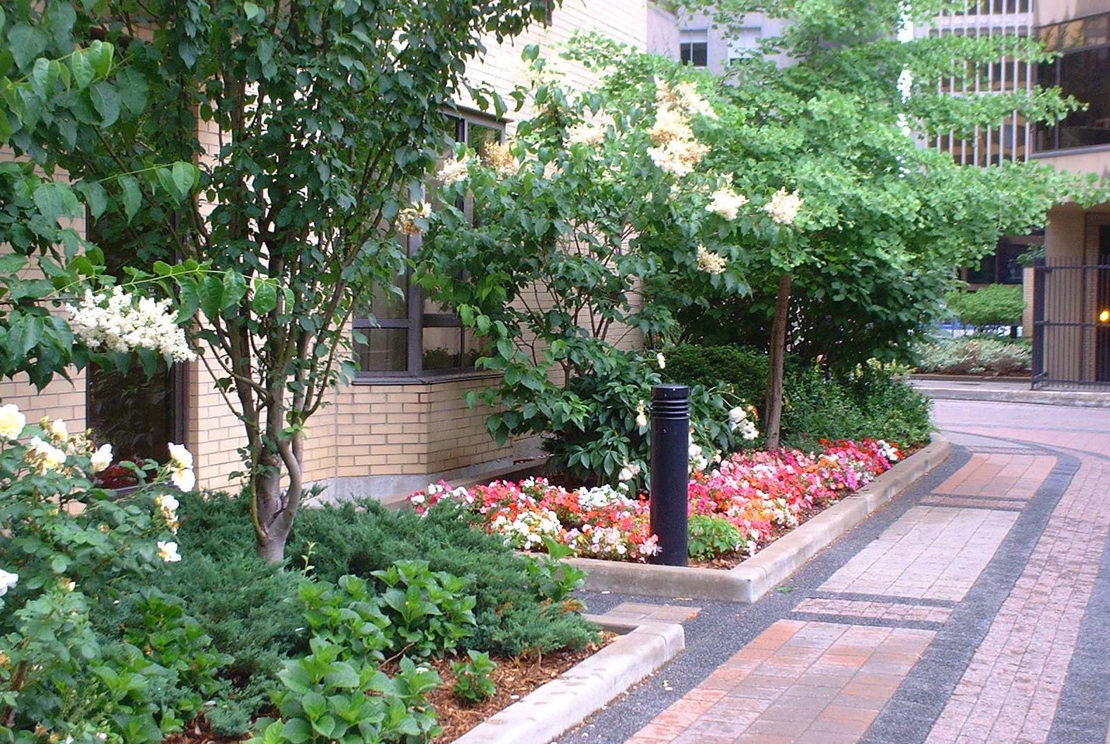 Beautiful pathway out surrounded by trees and flowers.