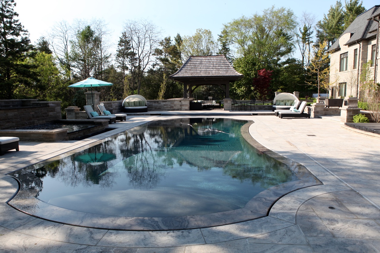 Backyard with pool.