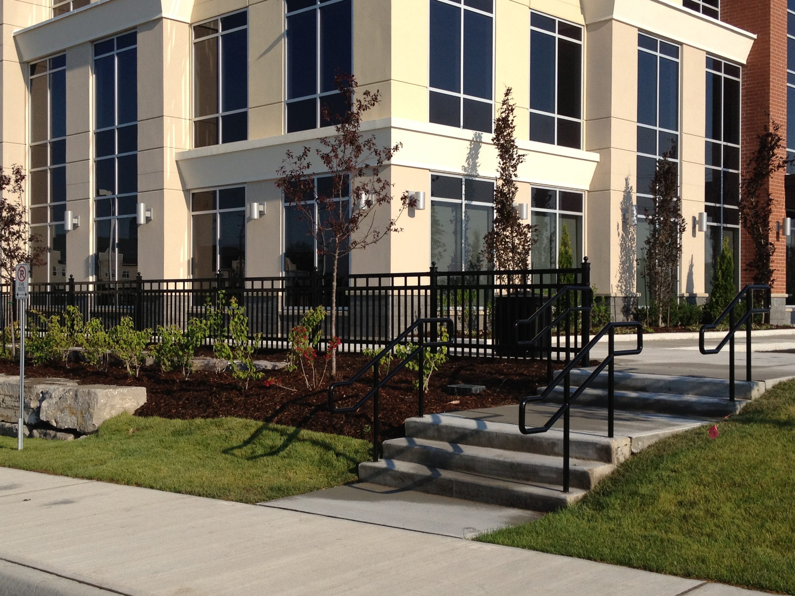 Stairs and shrubs