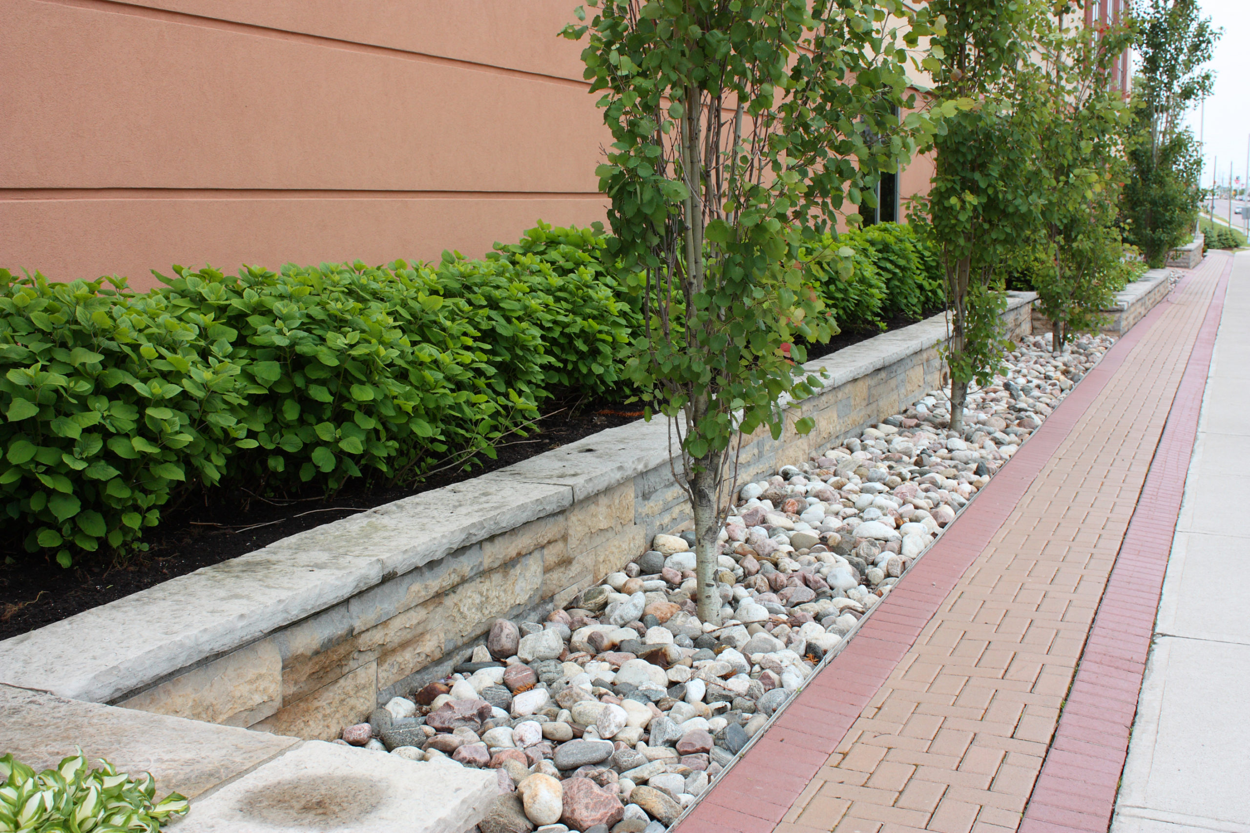 Shrubs and trees with small river rock