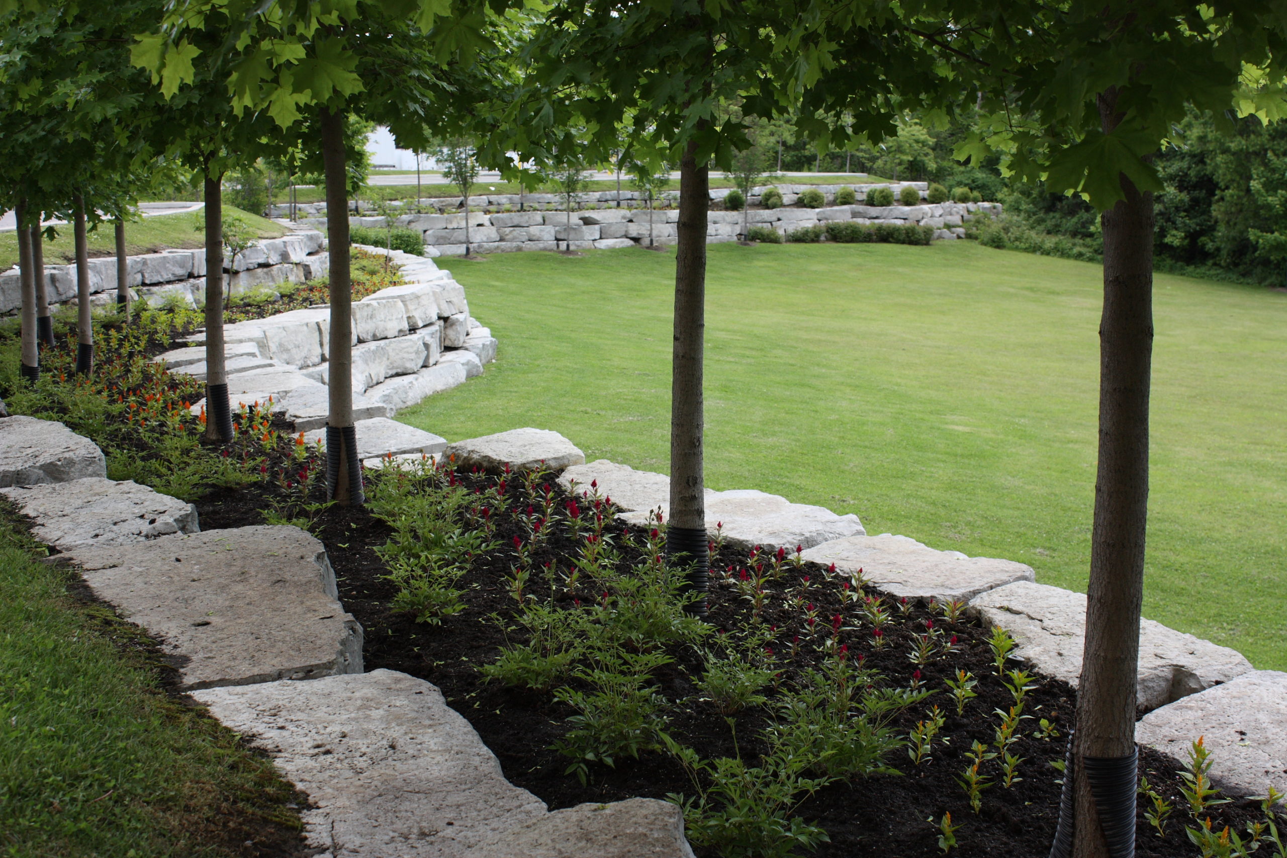 Stone retainer walls filled with gardens and trees